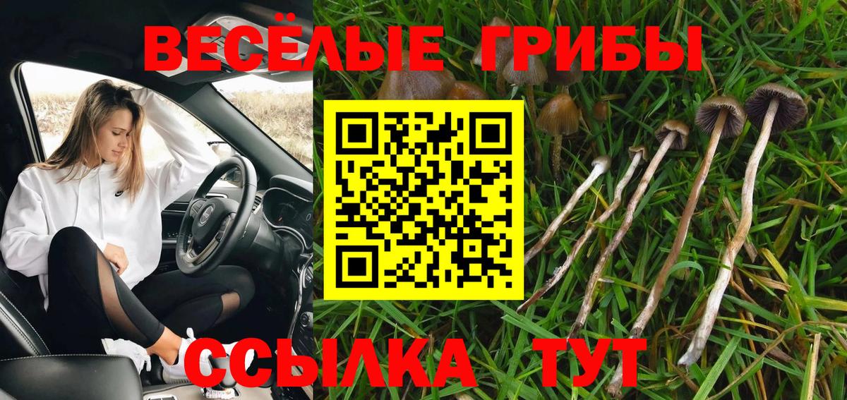 Псилоцибиновые грибы MAGIC MUSHROOMS  как найти закладки  Грязи  Вход с VPN 